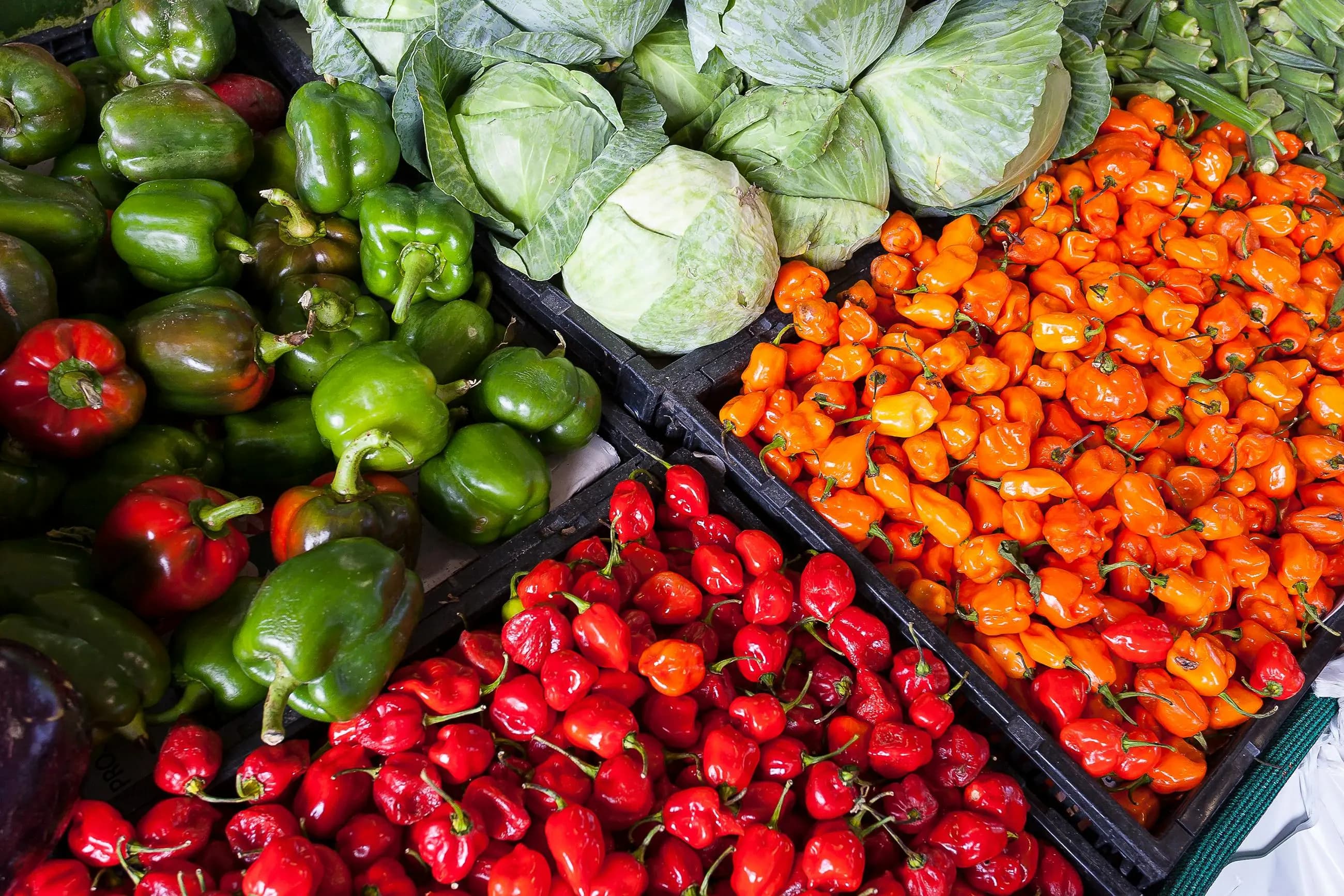 Lush fruit plantation with workers harvesting fresh produce in Ecuador